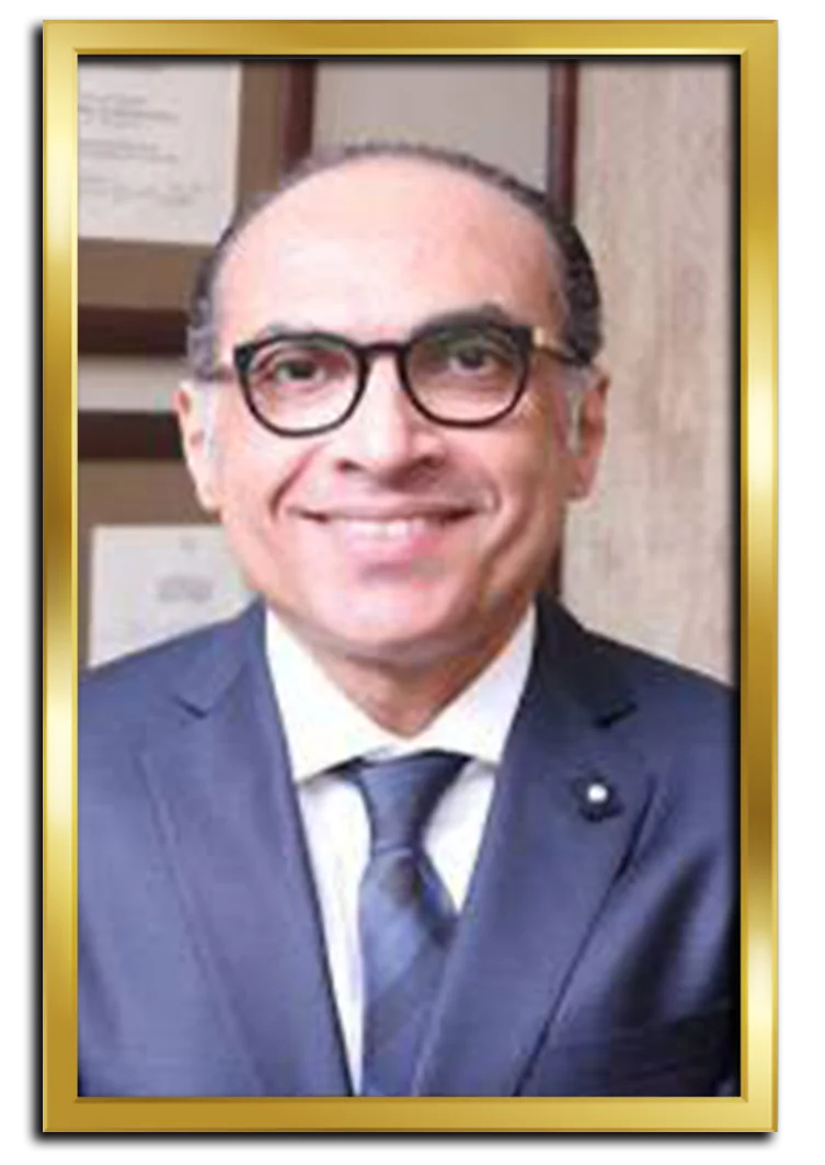 Dr. Mohamed Abdel Hafez